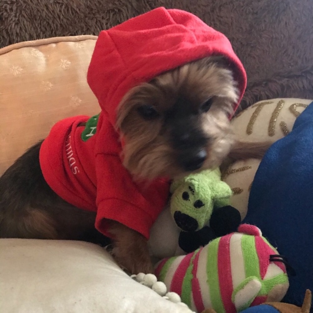 NWT:Pet Christmas Hoodie